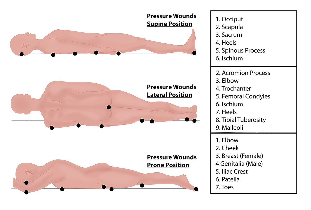 02 body updated